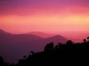 pink sunset